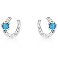 Er3394 Lightfoot Horseshoe Earrings By Montana Silversmiths