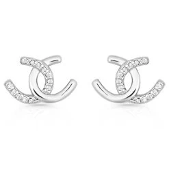 Er4505mt Horseshoe Happiness Post Earrings By Montana Silversmiths