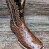 10040304 Men's Quantum Primo Full Quill Ostrich Square Toe Western Boot By Ariat
