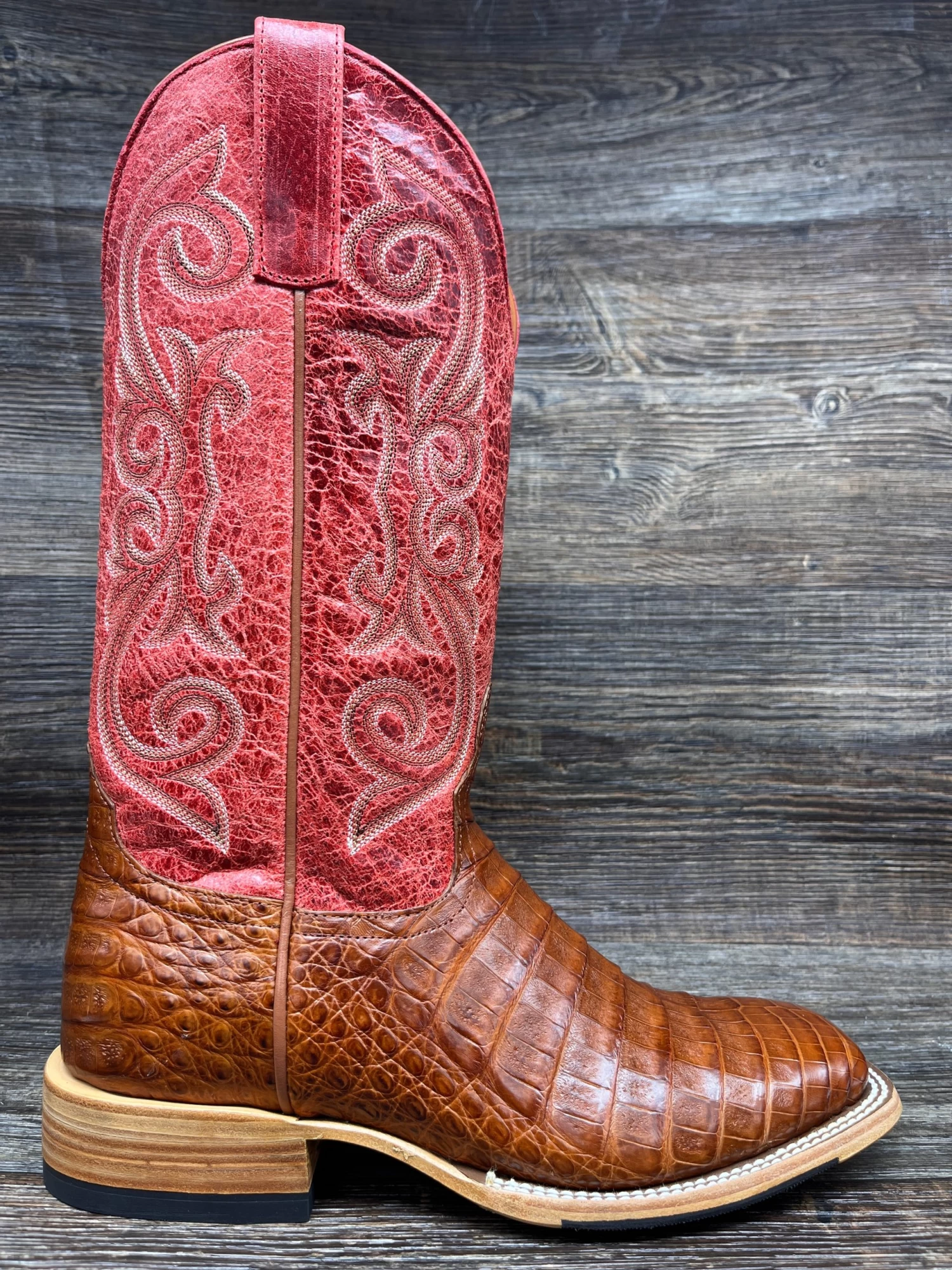Hp8003 Men's Belly-Cut Caiman Square Toe Western Boot By Horse Power - Image 2
