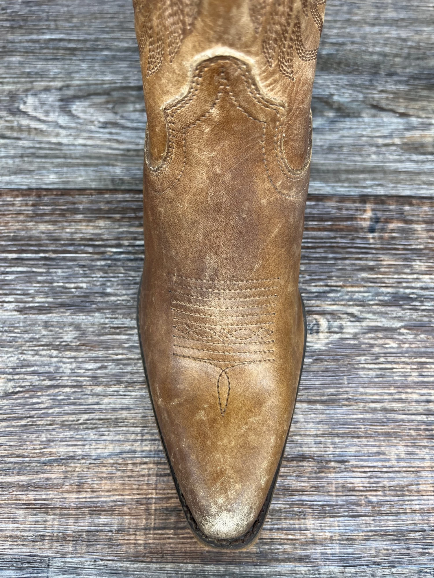 10044548 Women's Guinevere 17 Inch Snip Toe Western Boot By Ariat - Image 3