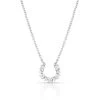 Nc5025 Longline Horseshoe Necklace By Montana Silversmiths